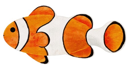 Watercolor isolated illustration tropical clown fish