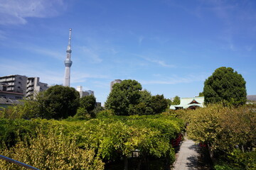 日本の東京都に鎮座する亀戸天満宮