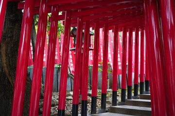 Fototapeta premium 東京都の港区に鎮座する乃木神社
