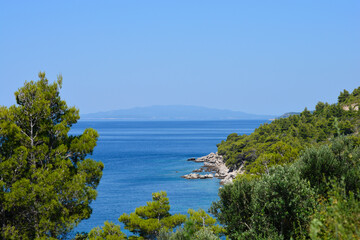 Fototapeta na wymiar View of Korcula island from Peljesac over pine trees 