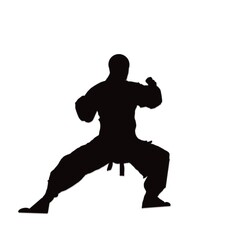 Fototapeta na wymiar Kung Fu boy silhouette, white background