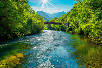 river in the forest