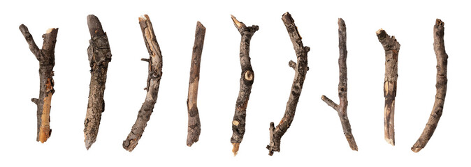 Collection of dry twigs isolated on white background, including clipping path