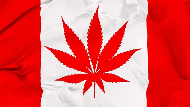 The national Canada flag with Marijuana leaf 3d illustration isolated on white background. Cannabis legalization in Canada.