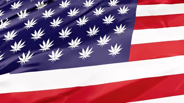 The national flag of United States with Marijuana leafs as stars, closeup illustration. American cannabis legalization concept.