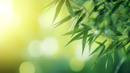 Fototapeta na wymiar Blurred abstract sunlight background, frame of bright green bamboo leaves isolated on copy space