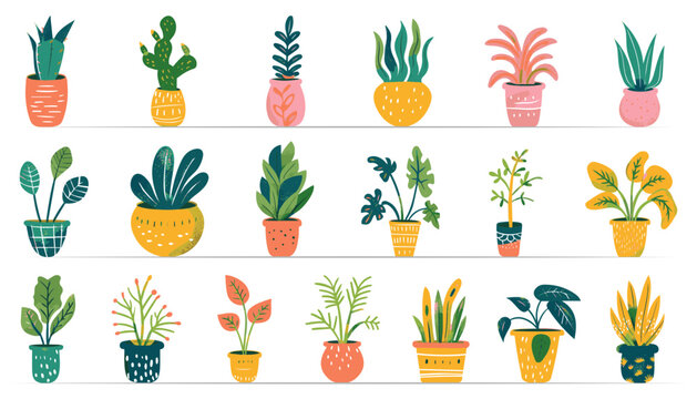 colorful doodle style hand drawn plants in pots vector illustration design set isolated on white background home garden, houseplant, plantation, decoration 