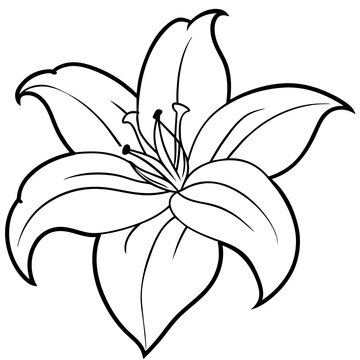 beautiful flower with white background -  vector illustration