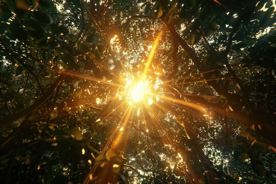 Fototapeta zoom lens and golden light burst among trees