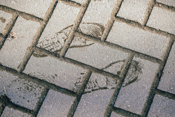 Wet shoe sole mark on the sidewalk, top view. Two tracks, footprints from the sneakers on the stone road. The concept of a clean street, rainy weather, and proper shoes.