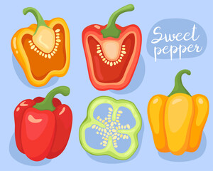 Sweet pepper. Red, green and yellow bell pepper. Half, whole and slice pepper with seeds. Vegetable, cooking ingredient. Illustration. 