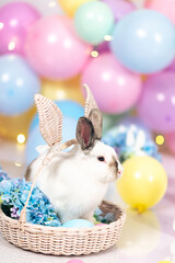White Easter bunny in a basket of hydrangea flowers against a background of colorful balls in pastel colors