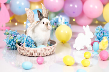 White Easter bunny in a basket of hydrangea flowers against a background of colorful balls in pastel colors