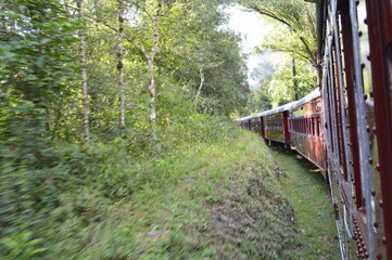 Viagem de trem no campo