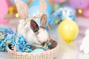 A white Easter bunny washes himself in a basket with hydrangea flowers against a background of...