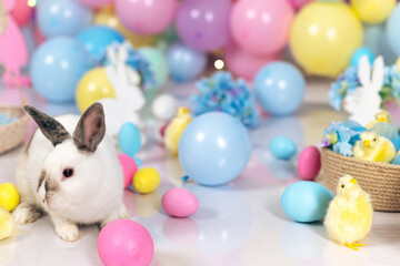 White Easter bunny on a stool and hydrangea flowers against a background of multi-colored balls in pastel colors. Decor