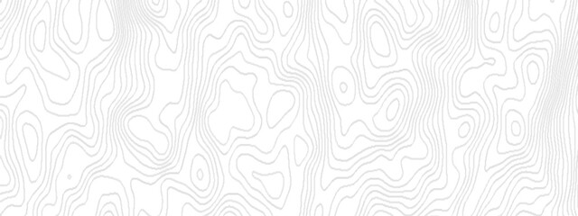 White wave paper curved reliefs abstract geometric topography, Abstract topographic contours map background geography scheme, Black and white geometric lines seamless Topographic map.