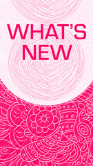 Whats New Pink Doodle Design Element Texture Background Vertical Text 