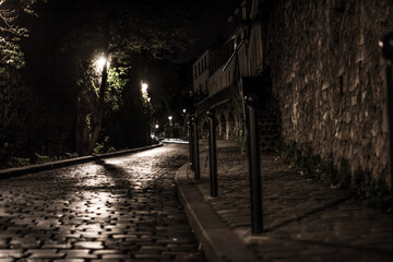 Noir cobblestone street paris at night illuminated by the soft glow of streetlights
