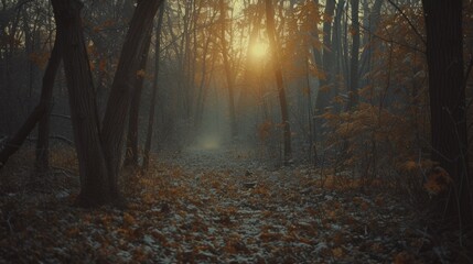 A forest with a path leading through the trees and leaves, AI - obrazy, fototapety, plakaty