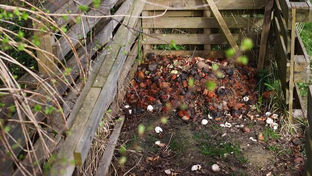 natural composter in the garden
