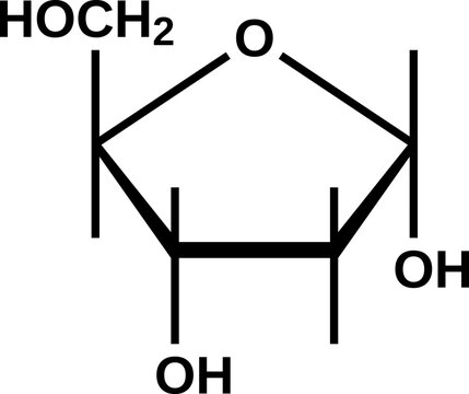 Alpha-deoxyribose&nbsp;cyclic structural formula, furanose form of deoxyribose, vector illustration