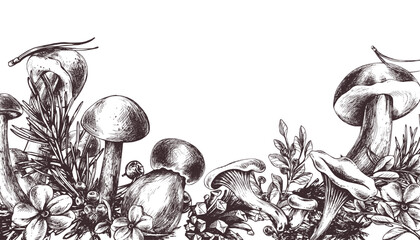 Forest mushrooms, boletus, chanterelles and blueberries, lingonberries, twigs, cones, leaves. Graphic illustration hand drawn in black ink. border, template EPS vector. - obrazy, fototapety, plakaty