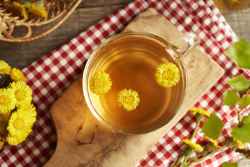 Fresh coltsfoot or Tussilago flowers in a cup of herbal tea, top view