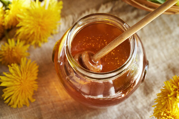 A jar of dandelion honey - homemade syrup made from fresh dandelion flowers in spring