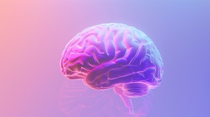 An illustration showing a human brain in shades of pink and blue