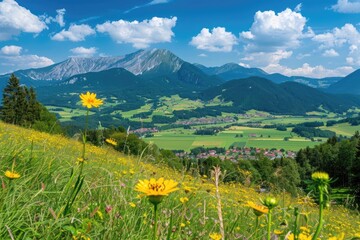 Fototapeta na wymiar Immersive Summer Environment in Austria's Rural Salzburger Land: Mount and Nature