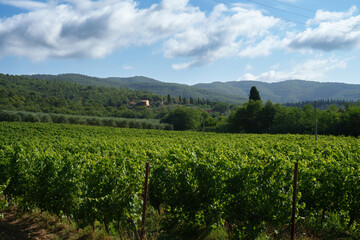 Fototapeta na wymiar Rural landscape near Castiglion Fibocchi, Tuscany