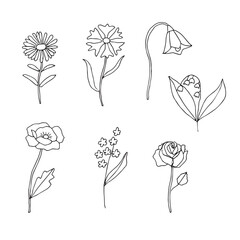 Flowers set vector illustration, hand drawn doodles