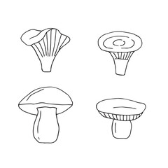 Mushrooms set vector illustration, hand drawn doodles