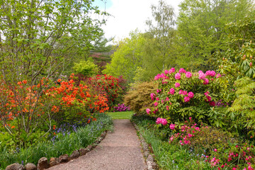 a vibrant garden path, with lush greenery and a variety of flowering shrubs in full bloom. A well-maintained walkway in a park designed for leisure walk and enjoyment of nature