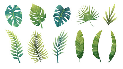 Cartoon set of green tropical leaves of palm tree, monstera, banana, croton, ferns. Vector design elements on white background for games, prints, templates - obrazy, fototapety, plakaty