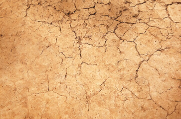 The ground has cracks in the top view for the background