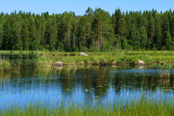 Summer view cross the water of a small lake in Sweden
