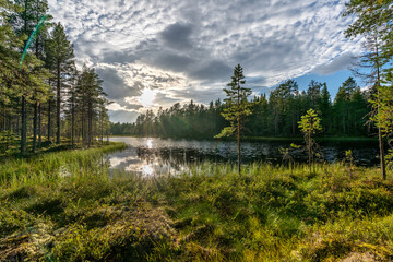 Summer view from a small lake in a forest in Sweden