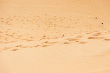 Vivid yellow sand grain texture. Footstep path in the desert. Abstract nature backgrounds and patterns