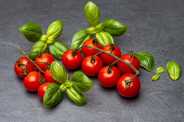Basilikum mit Tomaten