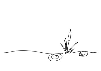 Reed or marsh hornwort, one line drawing vector illustration.