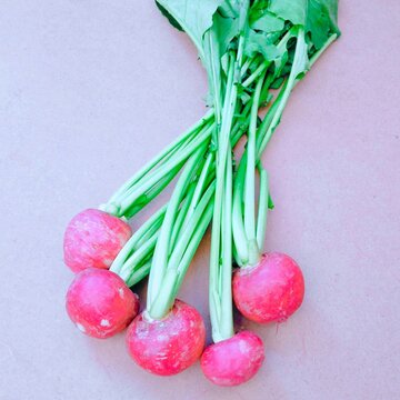 Radish root vegetable with long green leaves garden-radish edible food raphanus raphanistrum subsp. sativus red mooli closeup image stock photo