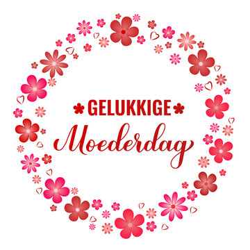 Happy Mothers Day in Dutch. Moederdag calligraphy hand lettering with spring flowers. Vector template for typography poster, greeting card, banner, invitation, etc.