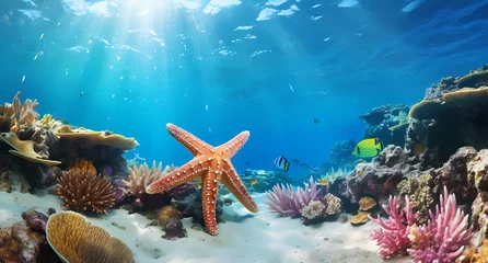 Foto auf Alu-Dibond A coral reef under the sea © Food gallery