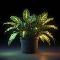 a plant with green leaves in a black background
