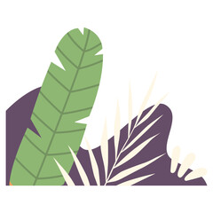 Aesthetic Plant Corner