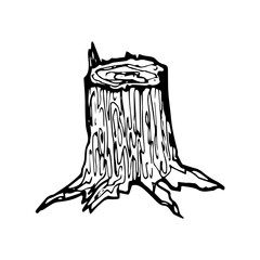 Tree stump. Hand drawn vector illustration isolated on white background