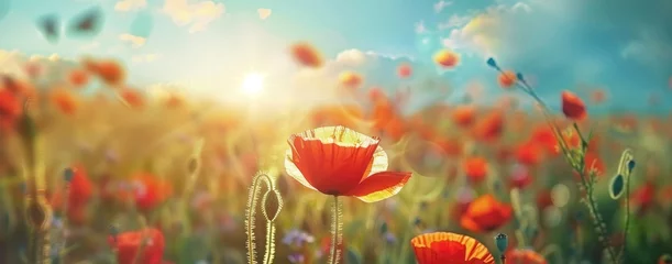 Foto op Plexiglas Beautiful poppy field in spring on blue sky background © MEHDI