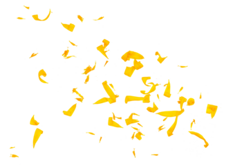 Field yellow flowers petals flying, isolated on white background and texture